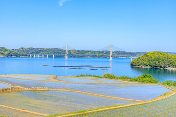 初夏の犬頭の棚田と鷹島肥前大橋　佐賀県唐津市　Inugashira Rice Terraces in early summer and Takashima Hizen bridge. Saga-ken Karatsu city.