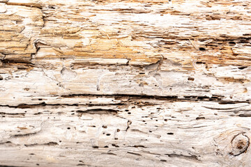 Naklejka na ściany i meble Old light color wood wall for seamless wood background and texture