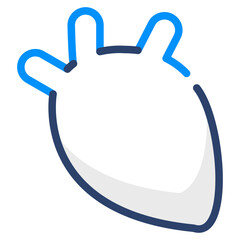 Heart Organ