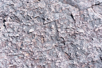 Old concrete wall. Ideal for textures and backgrounds.