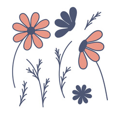 Chamomile daisy in different angles with a leaf. Cute delicate gerbera flower, clip-art isolate