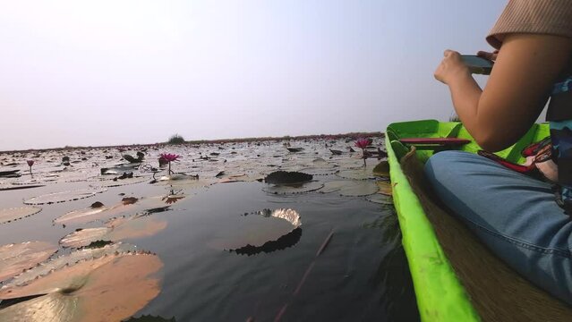 Take a scenic boat ride at Thung Bua Daeng, Bueng Lahan, Chaiyaphum, Thailand.