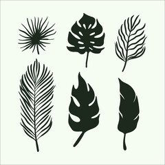 Tropical leaf collection with silhouette style