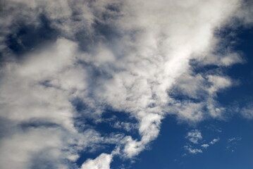 Layered clouds float the sky. Multilevel cumulus white clouds float across the light blue sky. Clouds of different shapes and sizes are lit by the sun and look fluffy.
