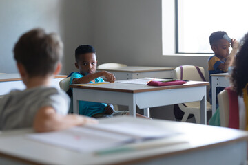 Multiracial elementary school students sitting at desk in classroom