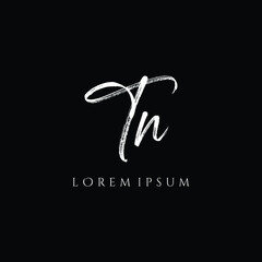 Letter TN luxury logo design vector