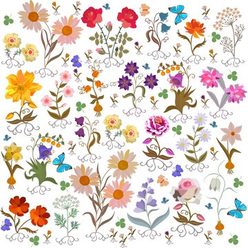 Romantic floral pattern with garden flowers, leaves, roots, berries, butterflies isolated on white background in vector. Seamless print for fabric, wallpaper.