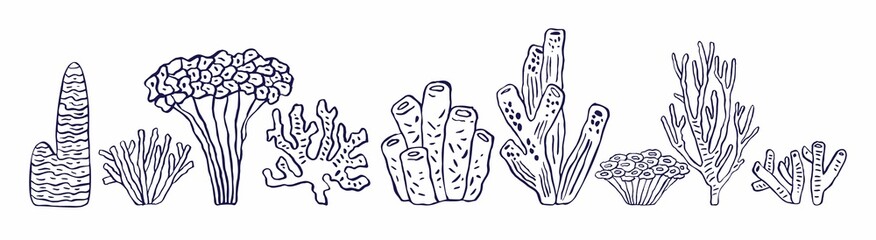 Set of decorative sea corals is isolated on white in a doodle style. A collection of aquatic oceanic plants for the decoration of postcards, posters, invitations to sea parties. Vector illustration