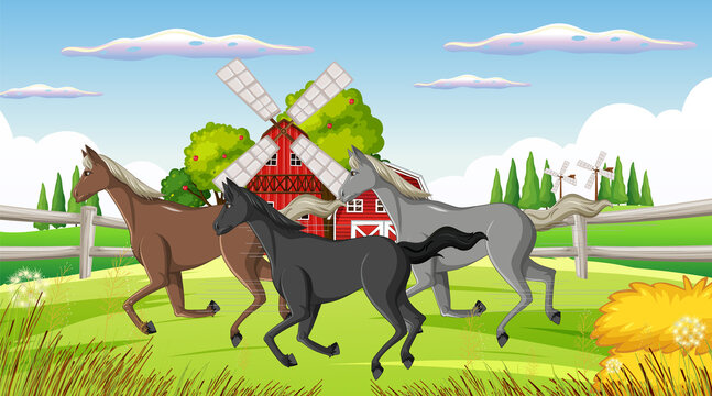 Horse riding scene with horses in the farm