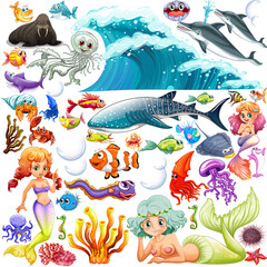 Different types of sea animals © GraphicsRF