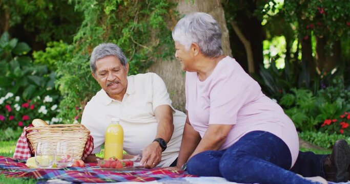 Video of happy biracial senior couple having picnic in garden - Powered by Adobe