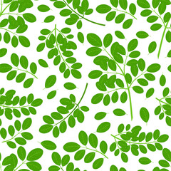 Moringa. Branch, leaves. Color seamless pattern, wallpaper.