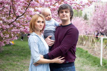 Fototapeta premium parents and little baby boy son having fun in spring park near pink sakura blooming tree. Spring concept