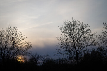 Fototapeta na wymiar Dark sunset in blue shades, blue hour in nature