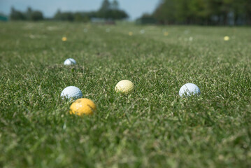 rozrzucone piłki na polu golfowym