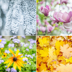 Four seasons. Set of square photos of nature in frames with winter, spring, summer and autumn moments. Copy space, place for inscription