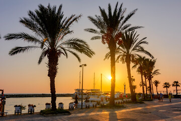 Fototapeta premium Side promenade with palm trees at sunset, Turkey