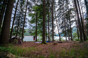 Two tents stands between trees in a pine forest on the river bank in the Carpathian mountains. Tourism and vacation concept. A mans sets up a tent. Arranges a camp.