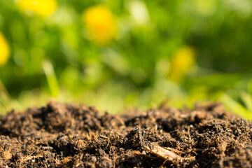 Soil or dirt section on green nature background.