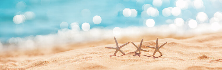Fototapeta na wymiar Starfishes on the beach sand in summer