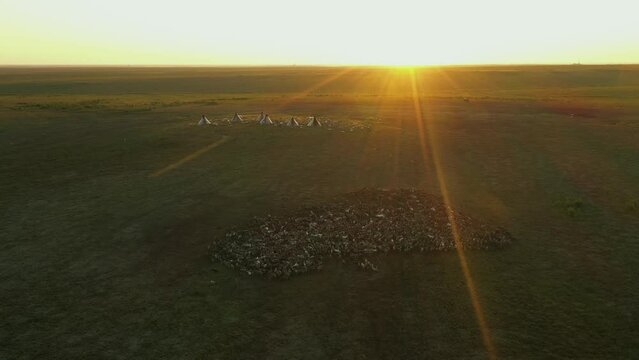 Yurts in tundra. Deer herd. Tipi. Wigwam. Peoples of Far North. Sunset. Sun in background light. Aerial view.