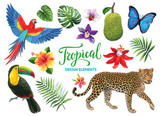 Tropical summer collection: exotic flowers, leaves, birds and animals. Vector isolated elements on the white background. - obrazy, fototapety, plakaty
