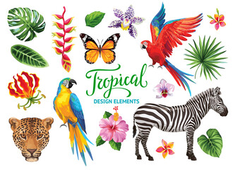 Tropical summer collection: exotic flowers, leaves, birds and animals. Vector isolated elements on the white background.