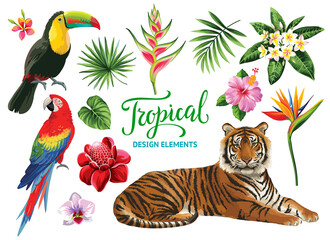 Tropical summer collection: exotic flowers, leaves, birds and animals. Vector isolated elements on the white background.