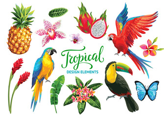 Tropical summer collection: exotic flowers, leaves and birds. Vector isolated elements on the white background.