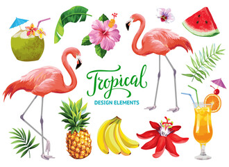 Tropical collection for summer beach party: exotic flowers, leaves, cocktails, flamingos and fruits. Vector design isolated elements on the white background.