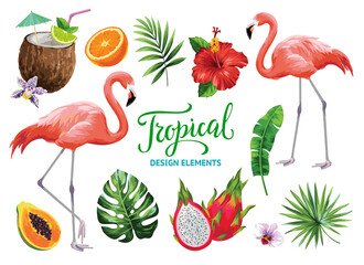 Tropical collection for summer beach party: exotic flowers, leaves, cocktails, flamingos and fruits. Vector design isolated elements on the white background. - obrazy, fototapety, plakaty