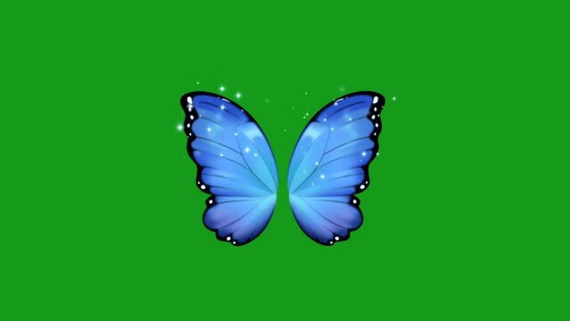 Fluttering butterfly wings green screen motion graphics