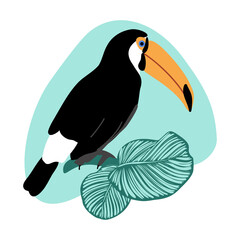Summer card with toucan and calathea leaves on abstract spot background, tropical exotic bird with big beak and green jungle leaves vector illustration - obrazy, fototapety, plakaty