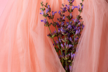 Blossom sage flowers on a delicate pink tulle background
