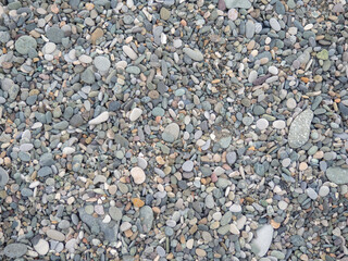 Big stones on the beach. Background from stones. Boulders on the seashore. Smooth cobblestones.
