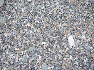 Big stones on the beach. Background from stones. Boulders on the seashore. Smooth cobblestones.