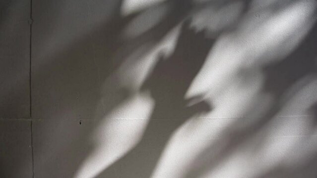 Shadow of hands