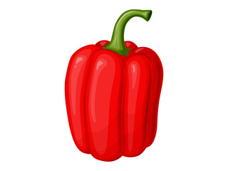 Sweet red bell pepper. Illustration of vegetable in cartoon simple flat style.