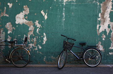 old bicycle on the wall