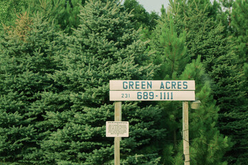 A wooden road sign that reads green acres along tree line
