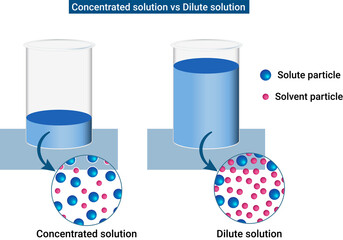 A concentrated solution is one that has a relatively large amount of dissolved solute. A dilute solution is one that has a relatively small amount of dissolved solute. - obrazy, fototapety, plakaty