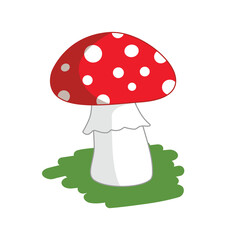 Inedible mushrooms fly agaric. Vector illustration in flat style.