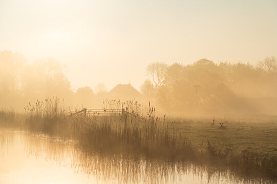A foggy spring sunrise in the Dutch countryside.