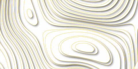 Fototapeta na wymiar Abstract paper cut art background design for website template. Topography map concept. Creative and similar design with white grey tone paper cut wave curve with blank space design. white paper cut .