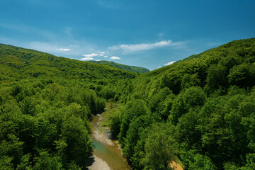 Fototapeta na wymiar Flying over a clear river, green forest trees and mountains in spring on a sunny day. Russia, Krasnodar Territory, Caucasus, South.