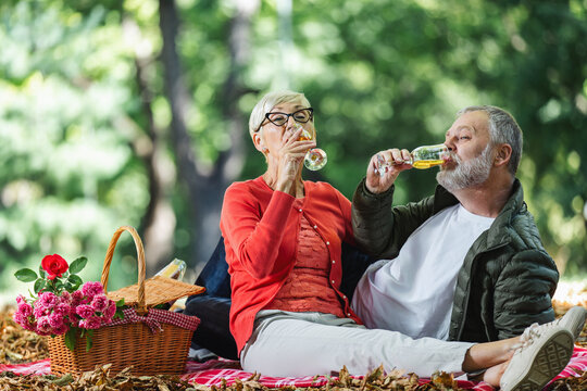 Happy senior couple having a picnic in park, making a toast.