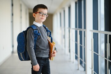 Cute schoolboy with books and a backpack