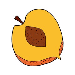 Hand drawn half peach. Illustration doodle eps 10 vector.