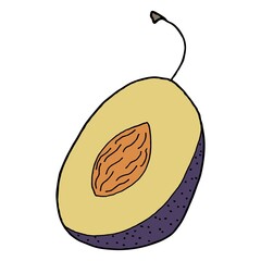 Hand drawn half plum. Illustration doodle eps 10 vector.