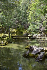 pond in a japanese garden in Kyoto, Japan, 2022